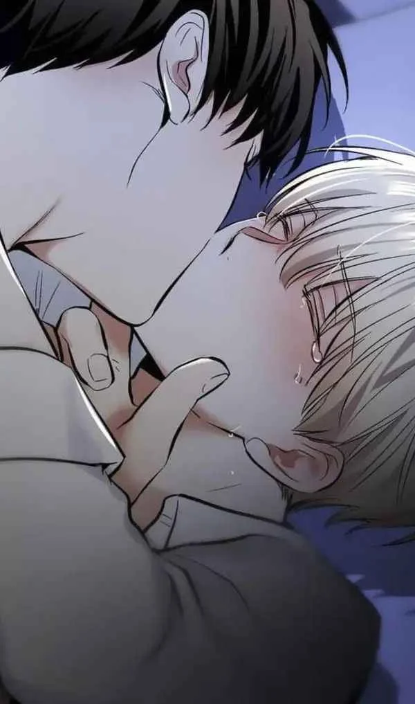 Hình ảnh anime sẽ gầy với phân cảnh tình cảm và nước mắt đầy cảm xúc