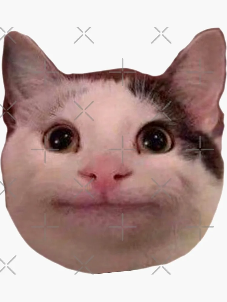 Tổng hợp meme mèo biểu cảm ngơ ngác, vô tri cực hài, phù hợp để phản ứng mọi tình huống khó đỡ (2)