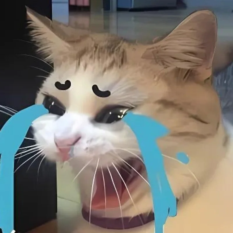 meme mèo bựa khóc lóc nước mắt giàn giụa