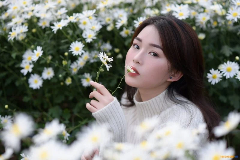hình nền girl xinh e ấp trong lùm hoa