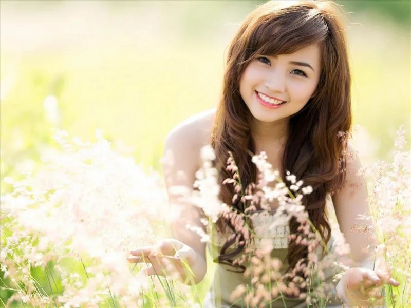 hình nền girl xinh giữa đồng hoa mini