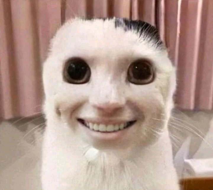 Tổng hợp Top 100+ ảnh meme thú vị, hài hước nhất 2024