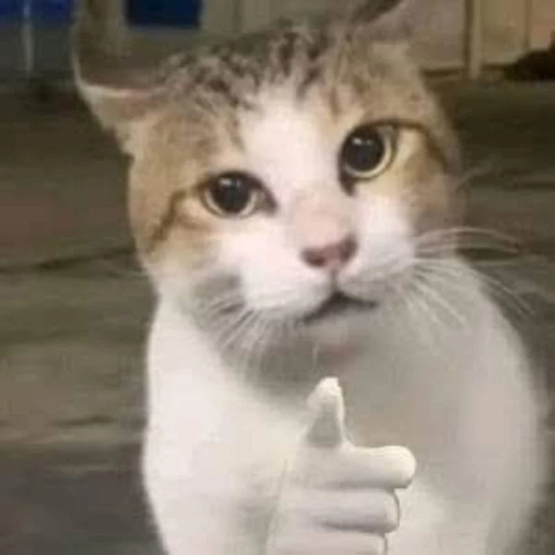 Ảnh meme hài hước siêu lầy, xem xong không nhịn được cười