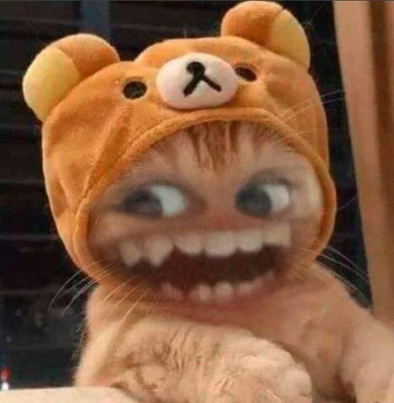 Tổng hợp Top 100+ ảnh meme thú vị, hài hước nhất 2024 (2)