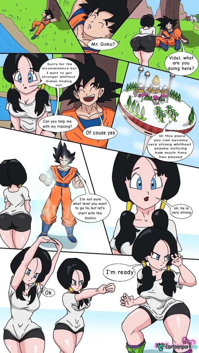 Videl x Goku (Dragon Ball Z) [Extranimacion] - Free sex comic : r/sex_comics
