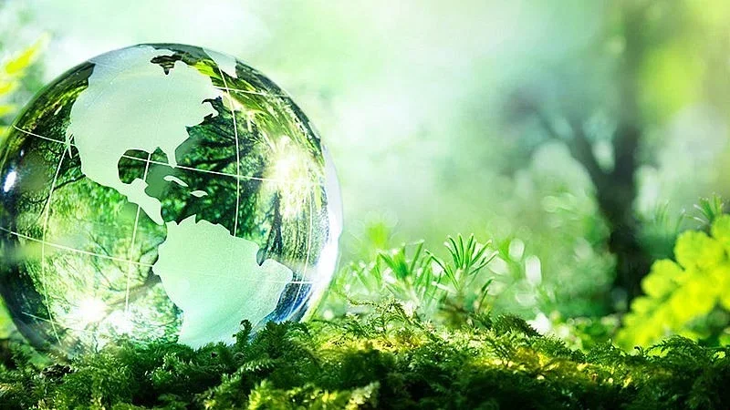 Luật Bảo vệ môi trường mới nhất năm 2024 và tổng hợp văn bản hướng dẫn